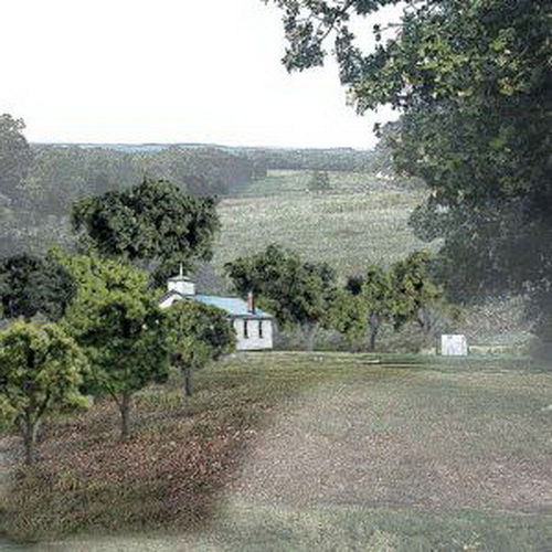 Woodland Scenics TR1570 Mixed Green Trees 3/4-2